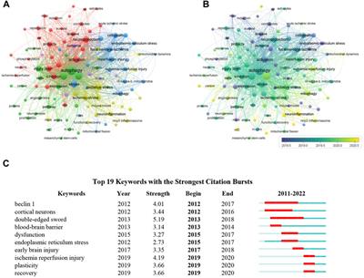 Bibliometric analysis and visualized study of research on autophagy in ischemic stroke